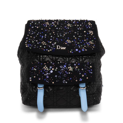 Dior Lou Backpack