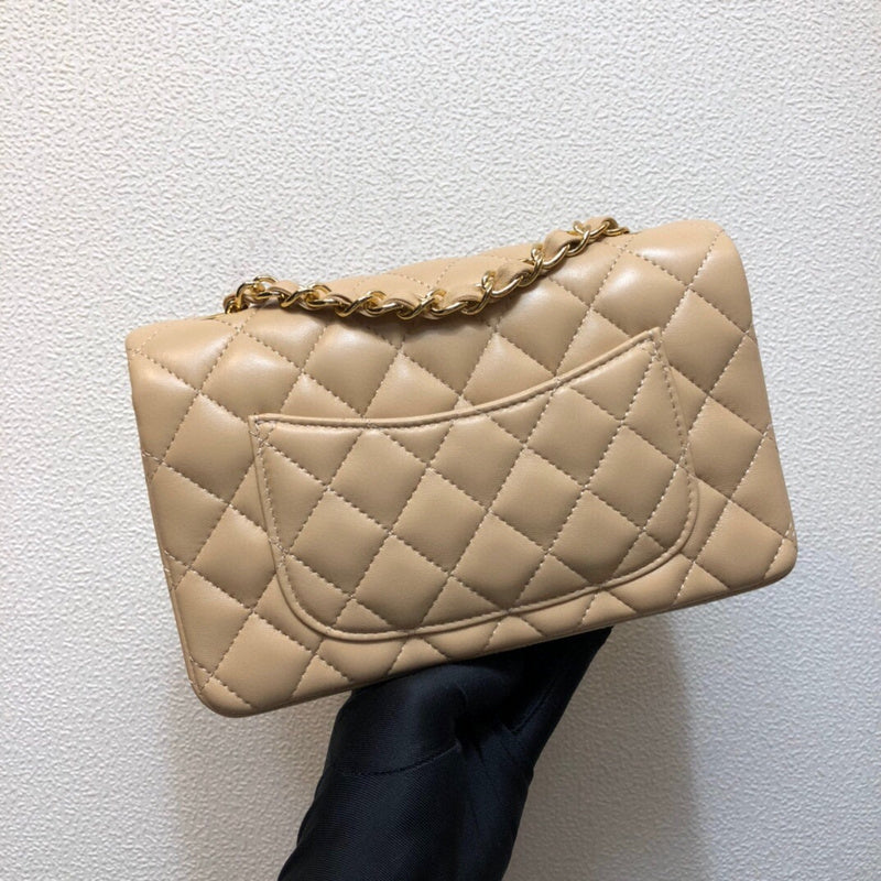 Chanel Luxury Handbag Style 176
