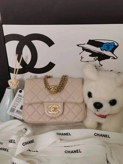 Chanel Luxury Handbag Style 100