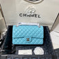 Chanel Luxury Handbag Style 195