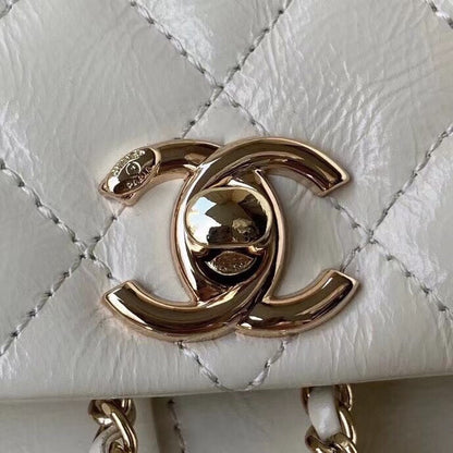Chanel Luxury Handbag Style 164