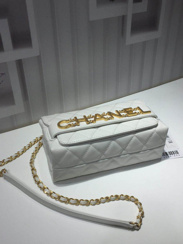 Chanel Luxury Handbag Style 485