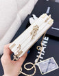 Chanel Luxury Leather Gold Handbag Style 13