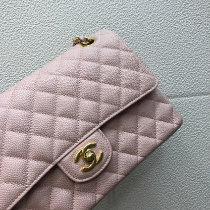 Chanel Luxury Handbag Style 171
