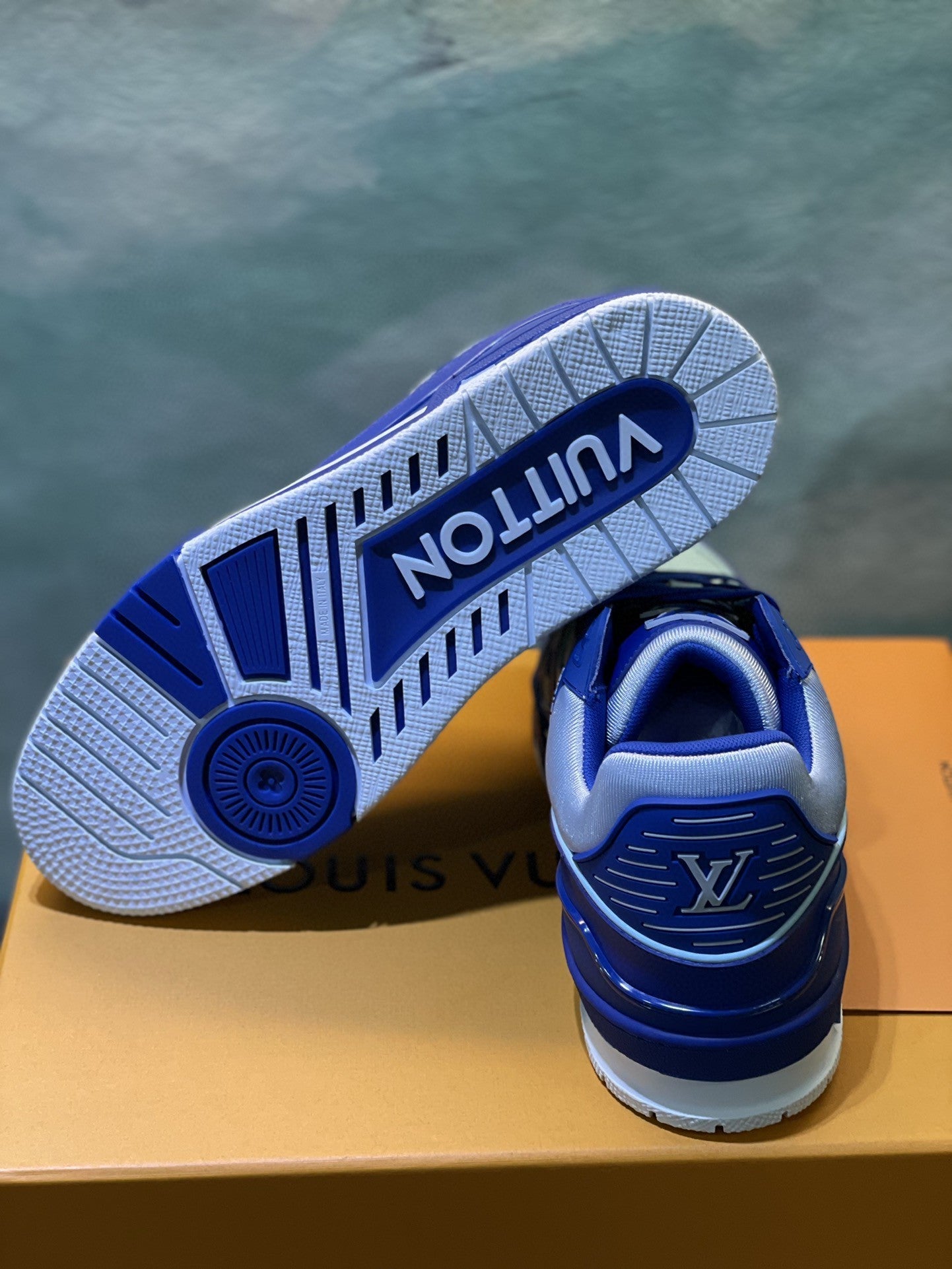 Louis Vuitton Trainer Sneakers