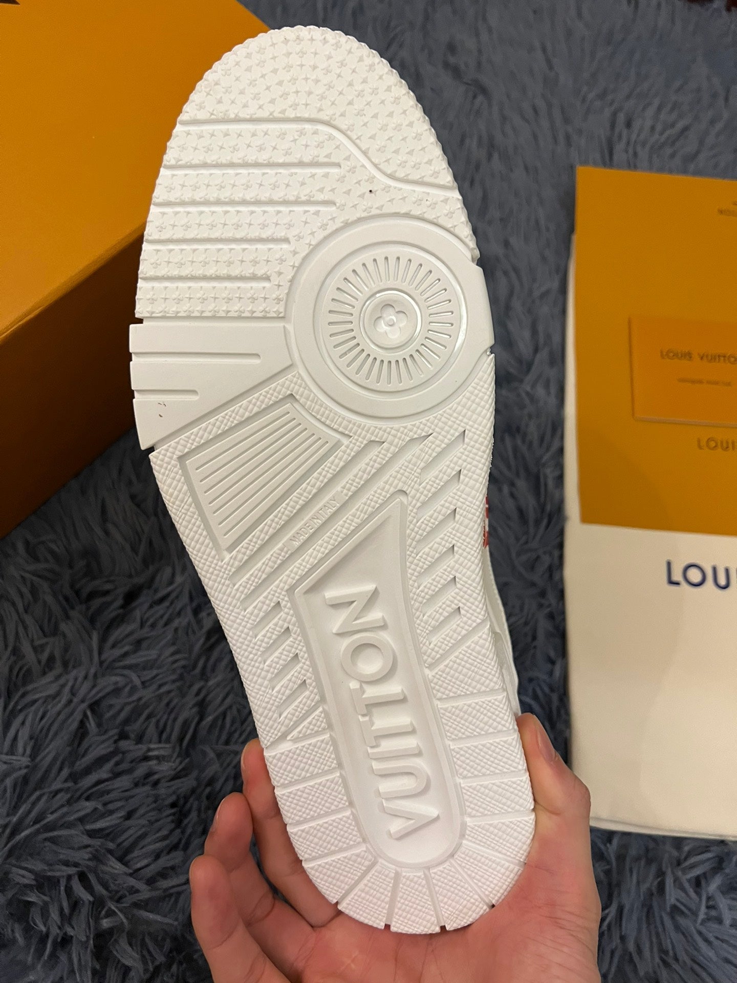 Louis Vuitton Trainer Sneakers