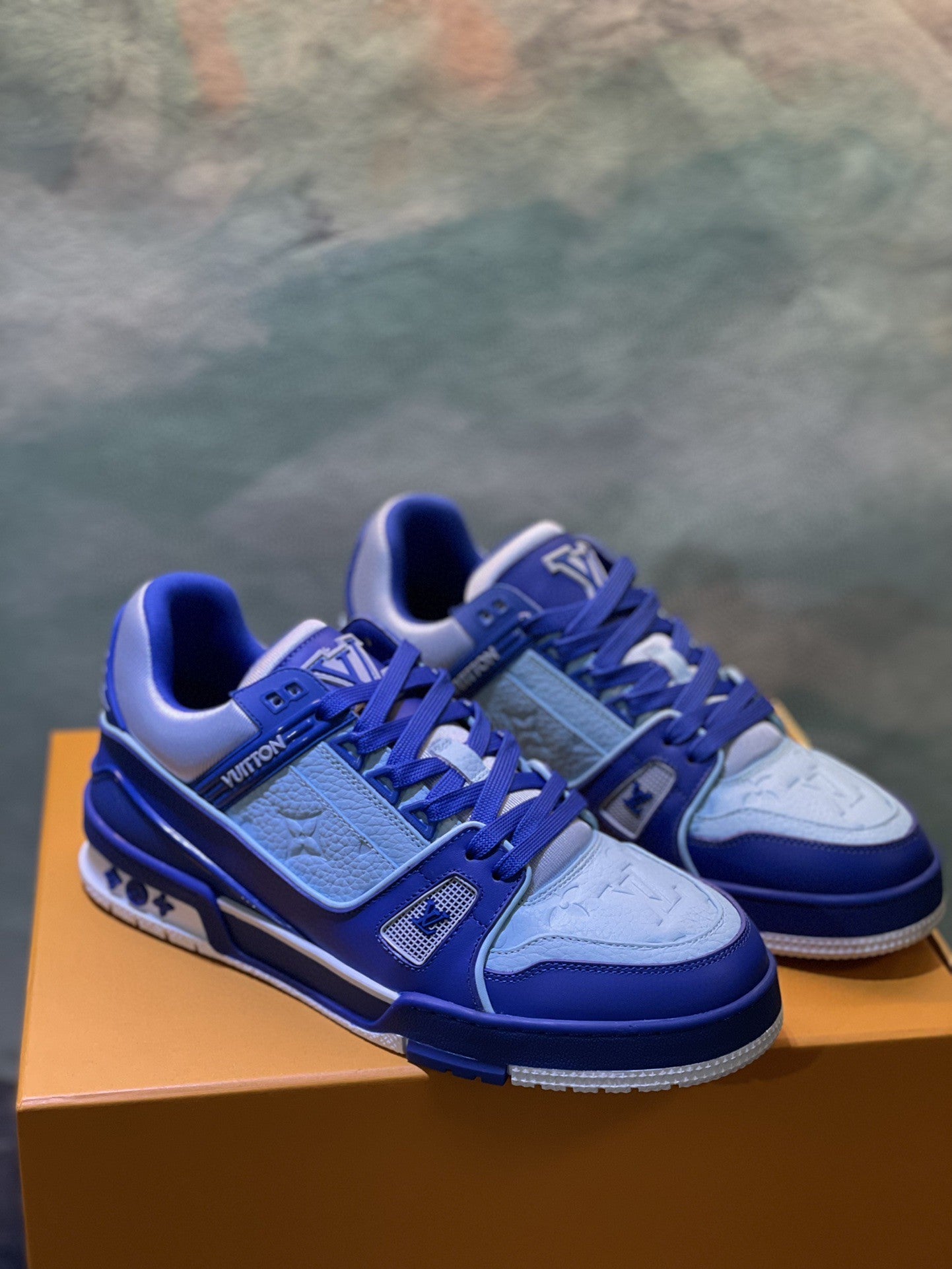 Louis Vuitton Trainer Sneakers