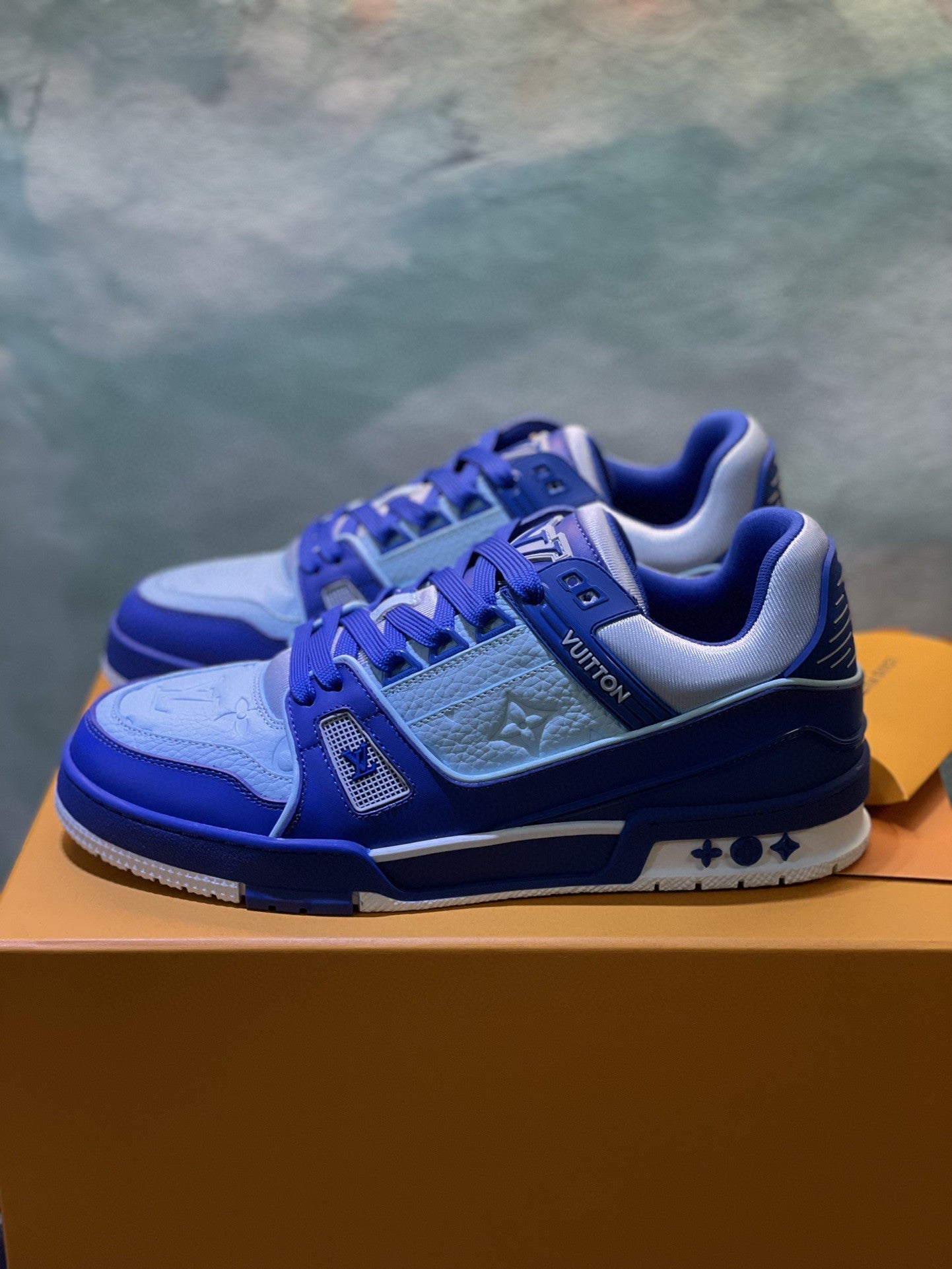 Louis Vuitton Trainer Sneakers