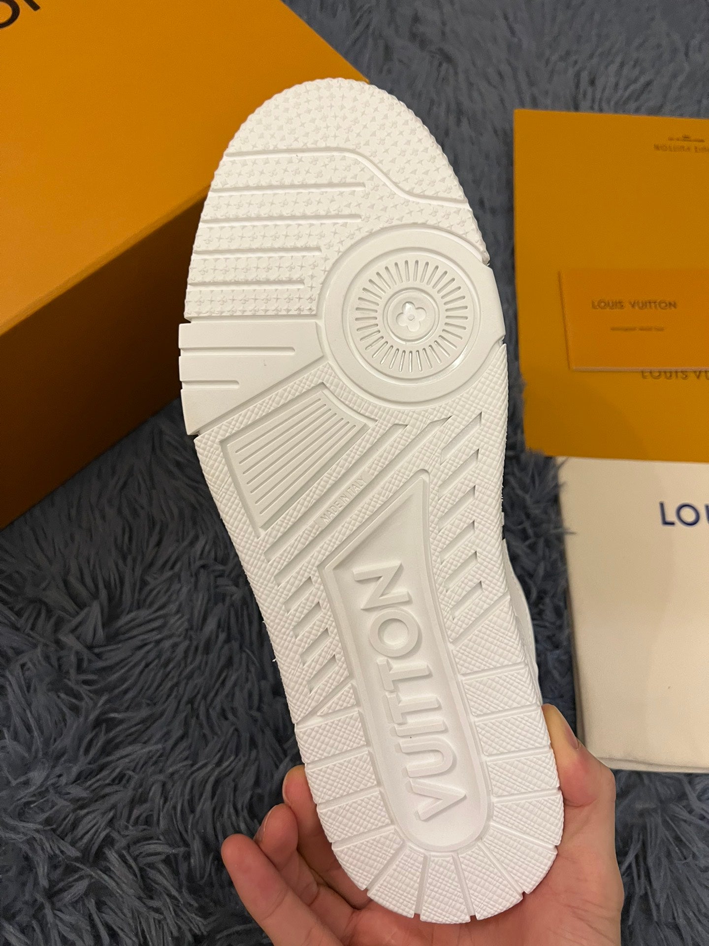 Louis Vuitton Trainer Sneakers