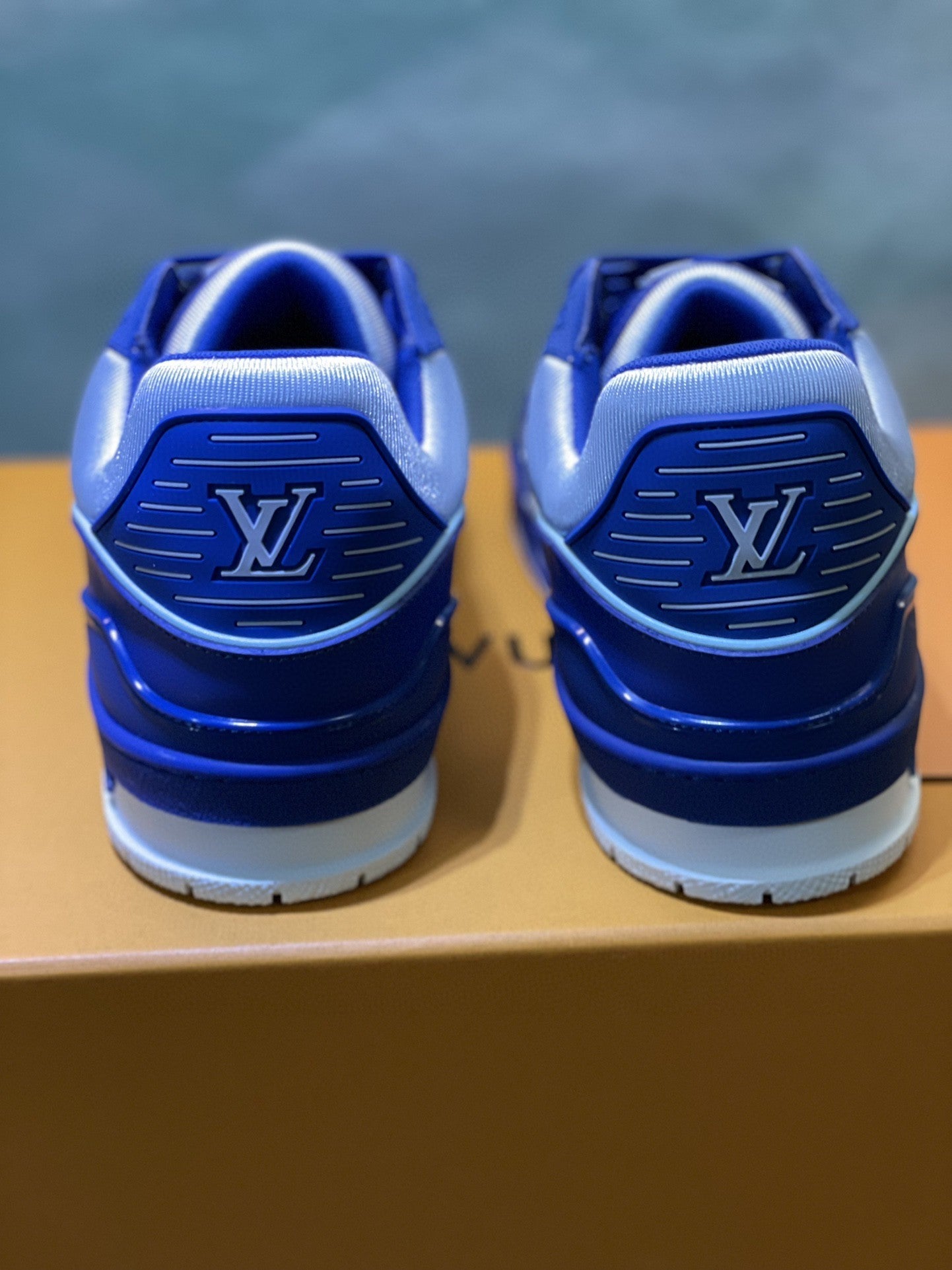 Louis Vuitton Trainer Sneakers