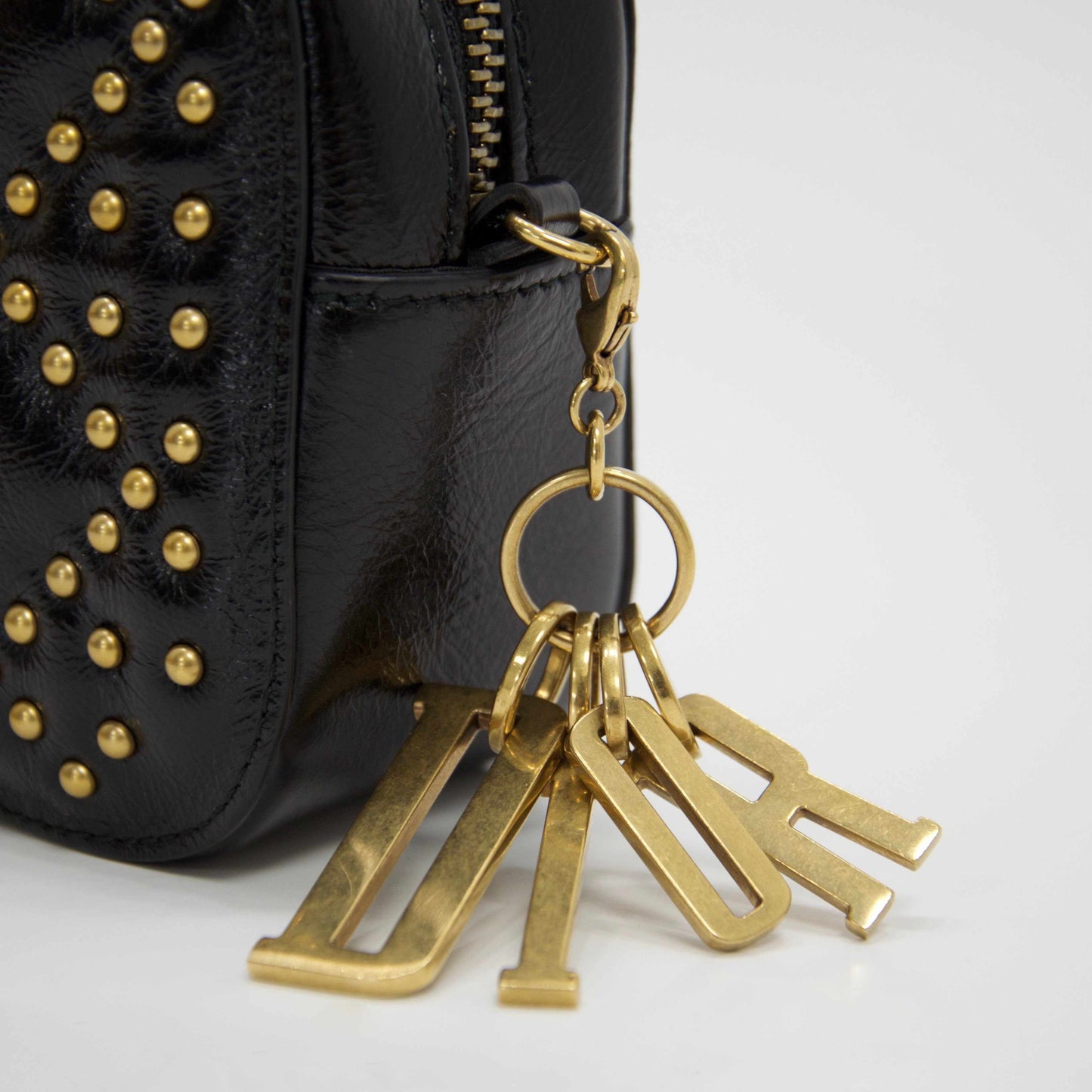 Lady Dior Camera Case Clutch