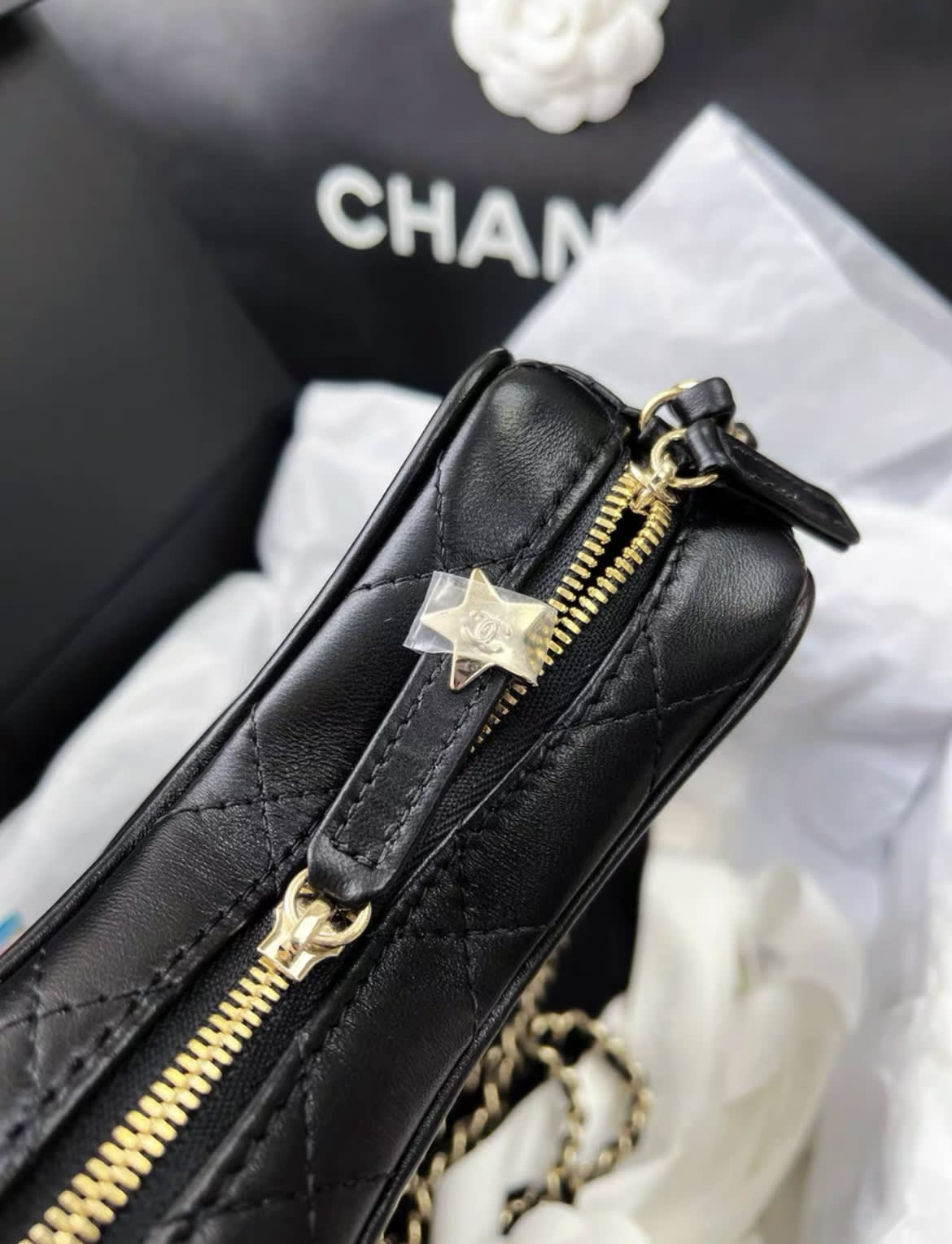 Chanel Luxury Lambskin Black Handbag Style 2