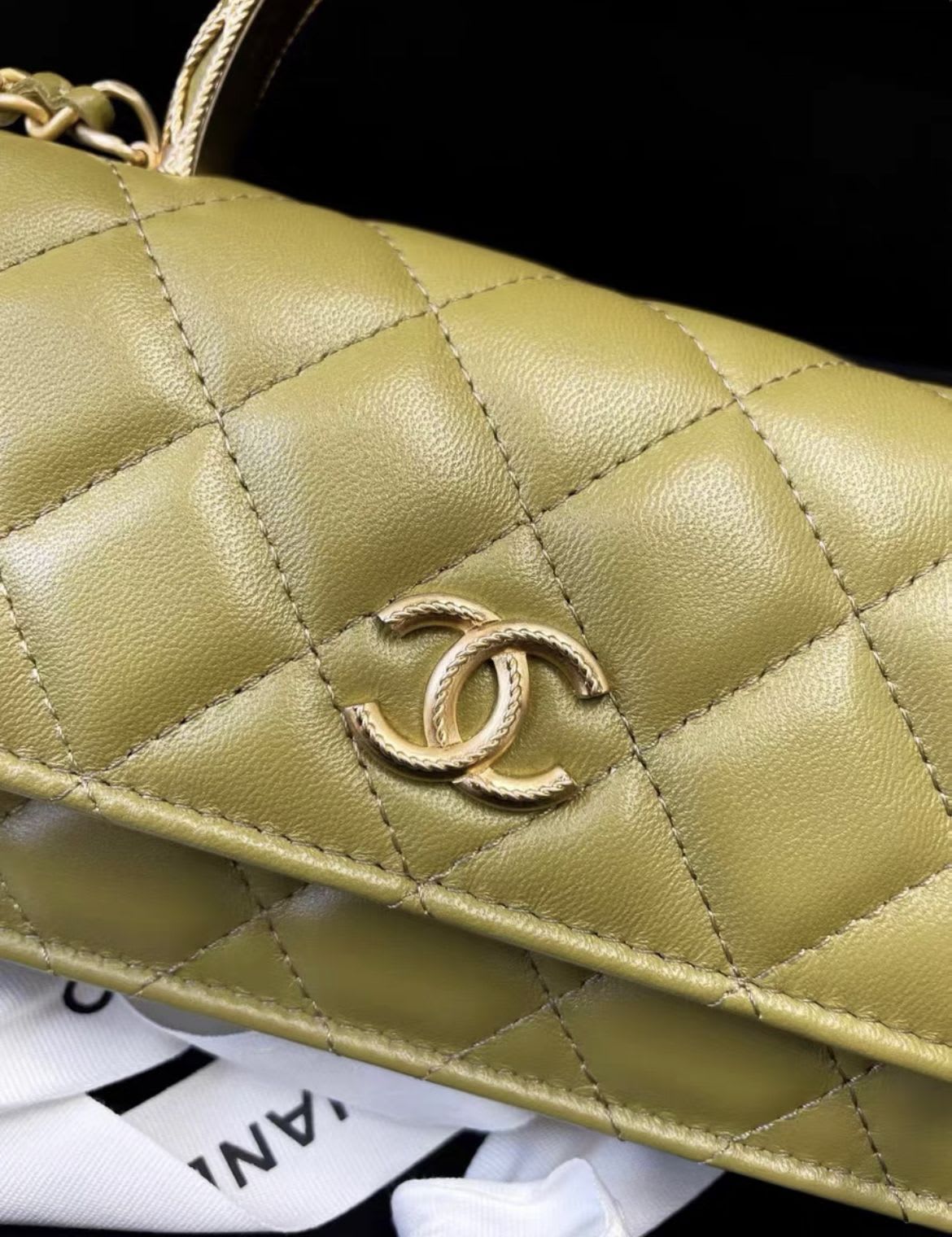Chanel Luxury Leather Gold Handbag Style 14
