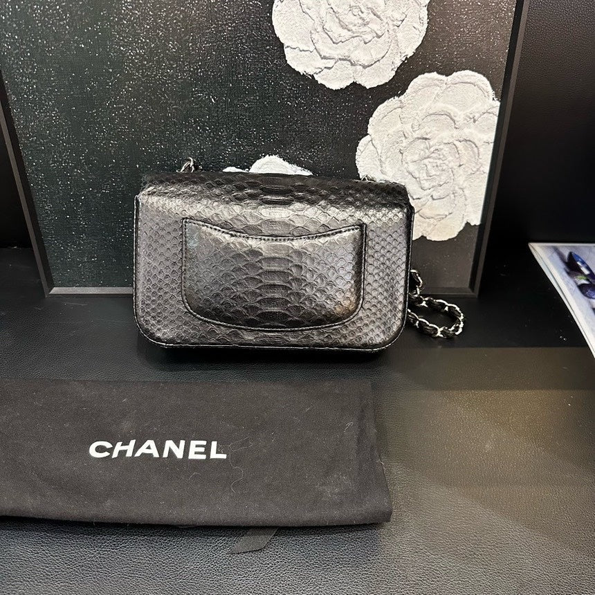 Chanel Black Snakeskin Large Mini Crossbody Bag