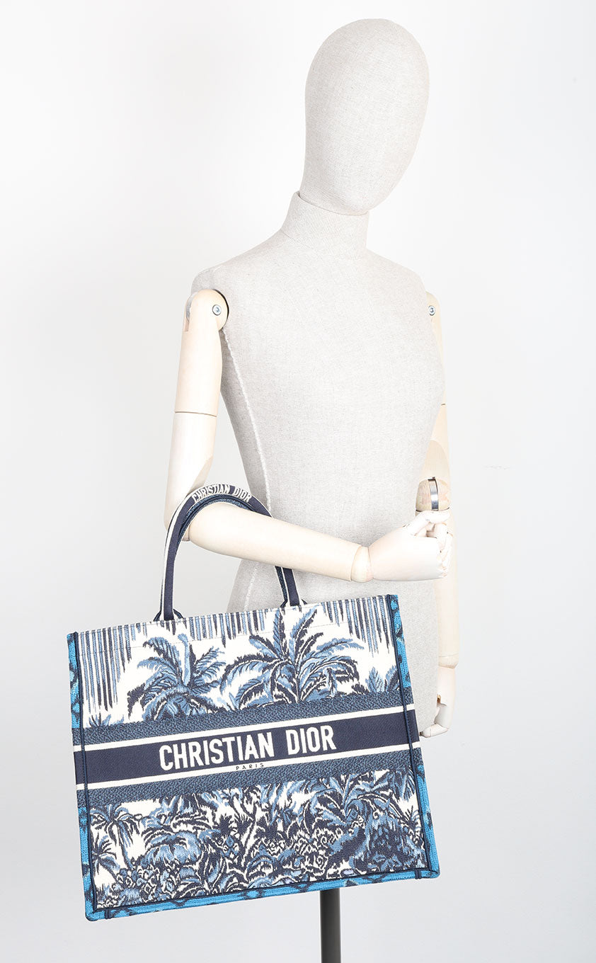 Dior Book Tote Canvas Tote Bag