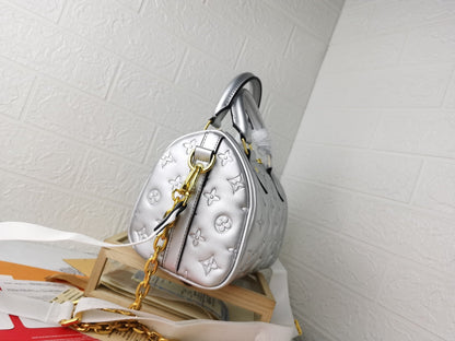 Lv silver 22.0 x 13.0 x 17.0 cm