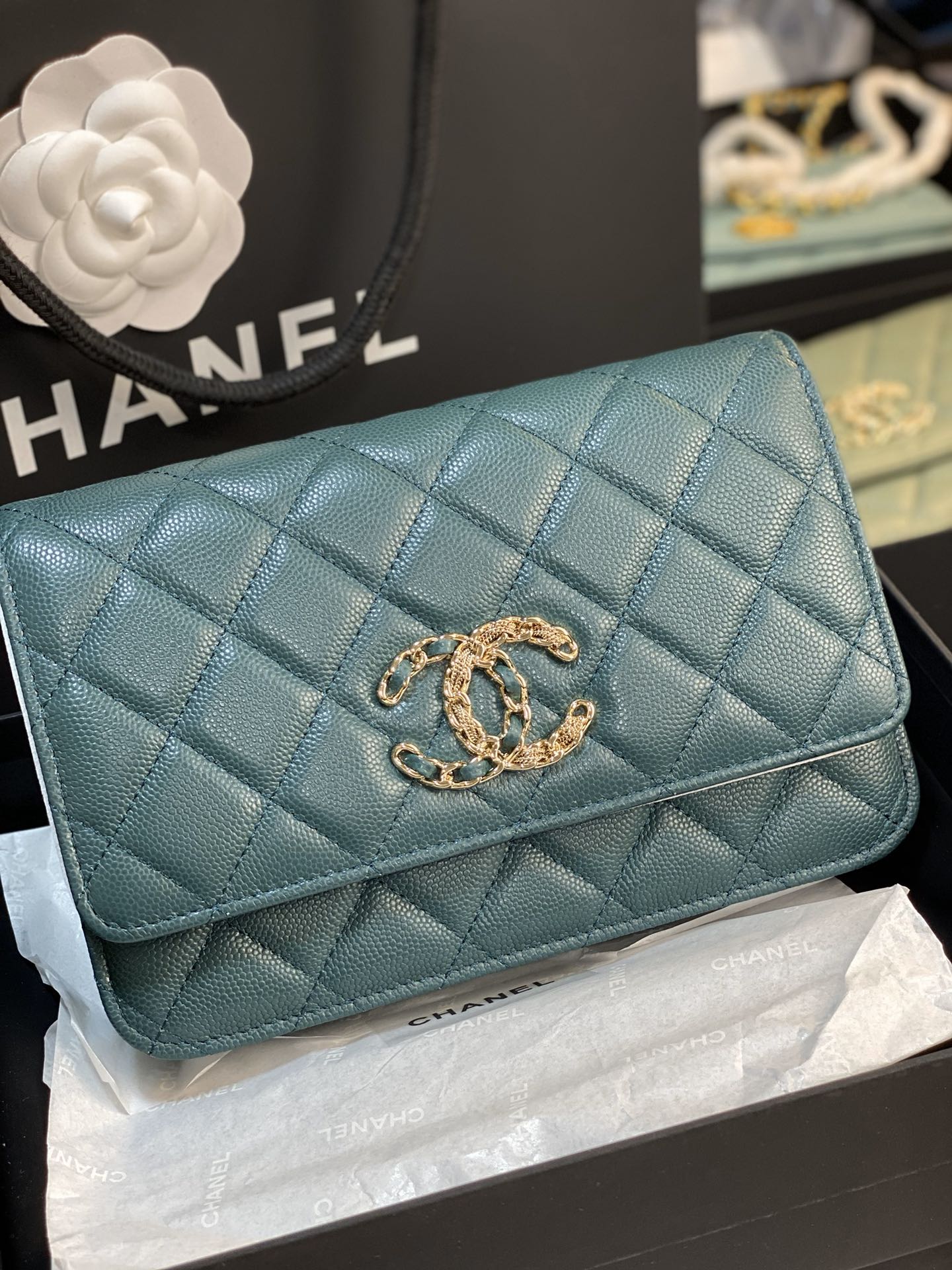 C h a n e l 15cm