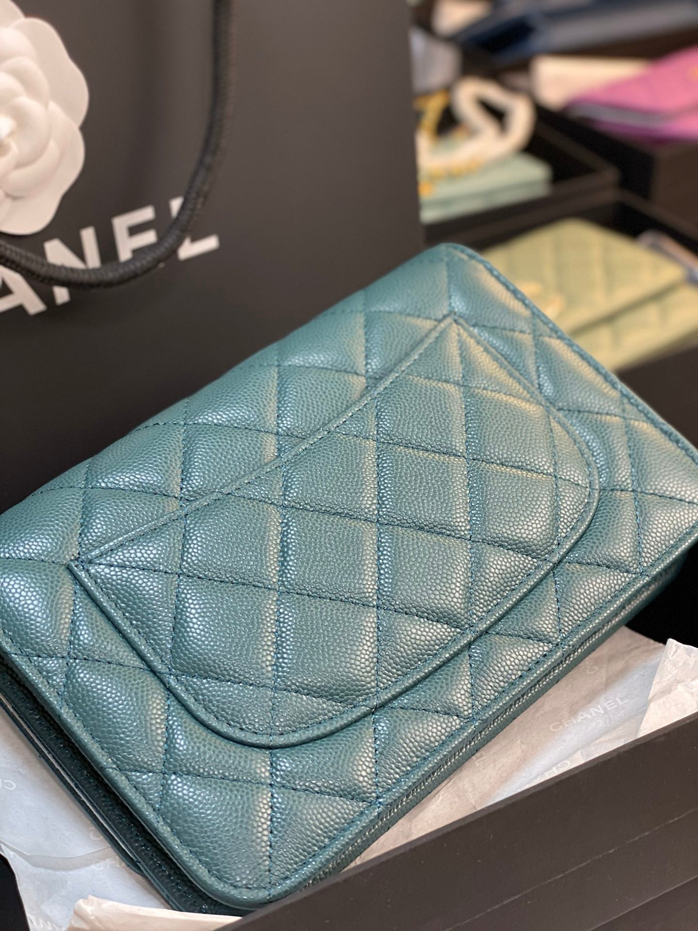 C h a n e l 15cm